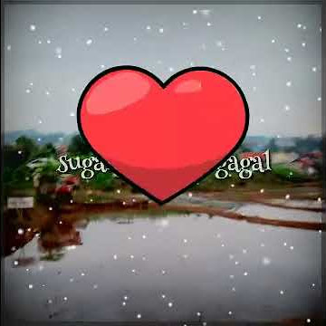 story wa mawar bodas