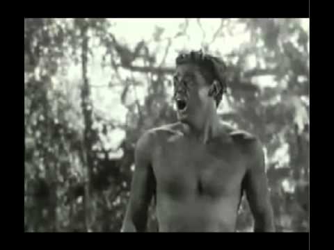 tarzan  aw Johnny Weismuller Tarzan Call by Dalai Lala