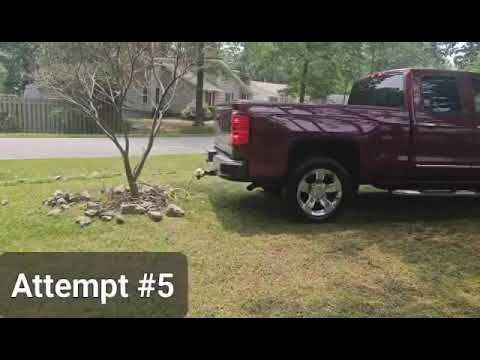 How to pull a tree out of the ground with a dry rotted rope!!!! # ...