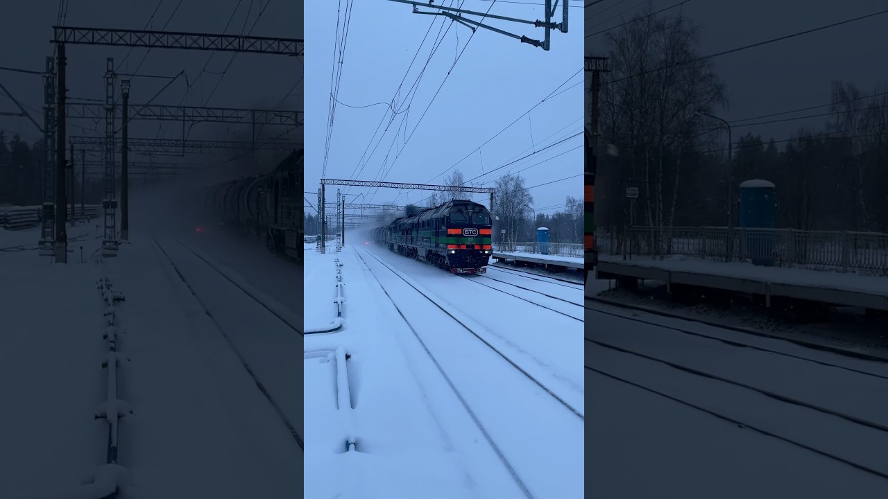 2ТЭ116У-0189 «БТС» пролетает станцию Сиверская