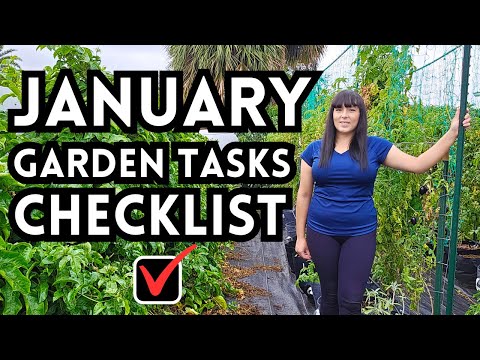 10 Garden Tasks