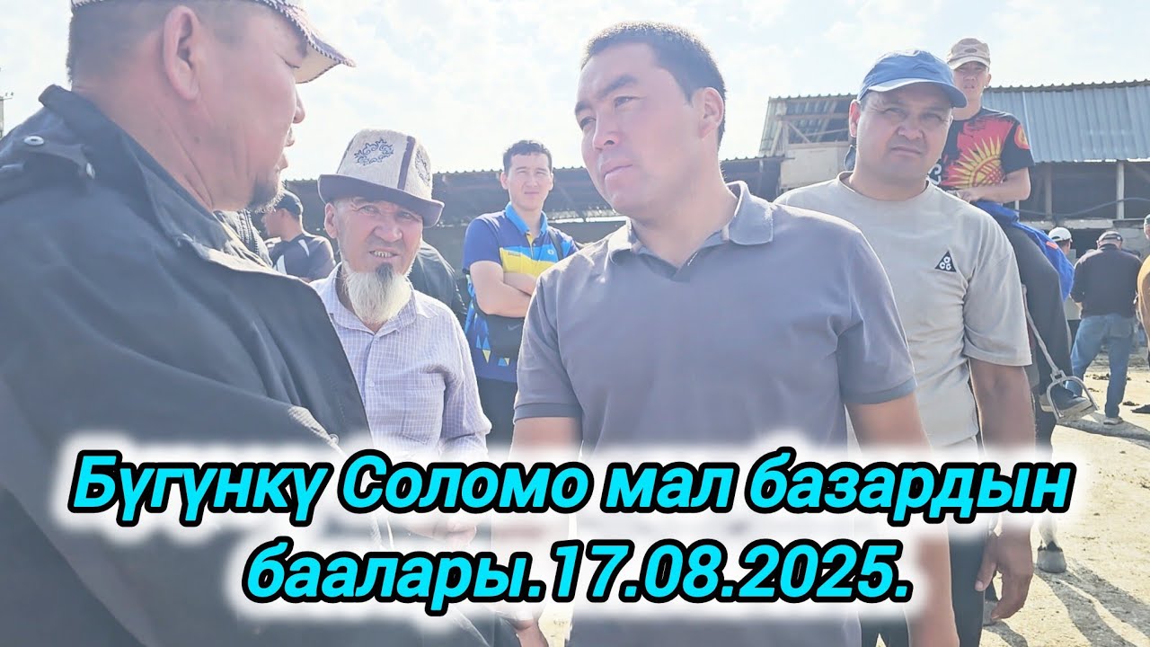 Ала-Бука району Соломо мал базардын баалары.17.08.2025.