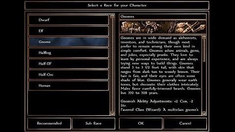 Neverwinter Nights Enhanced Edition | Gnome Play - Character Creation