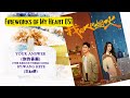 Your Answer 你的答案 The Rescue Theme Song By Wang Heye 王赫野 Fireworks Of My Heart OST mp3