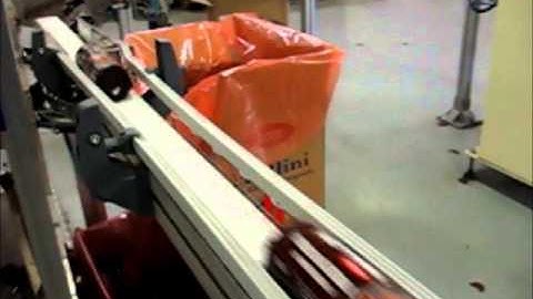 FlexLink conveyor system - PRL Tecnosoft