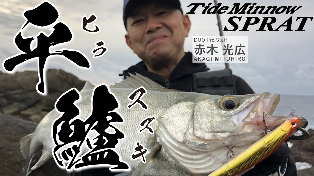 Akagi's Rocky Blackfin Seabass Game in Wakayama [Tide Minnow Splat