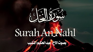 ما تيسر من سورة النحل للشيخ عبدالحكيم النقيب حفظه الله 