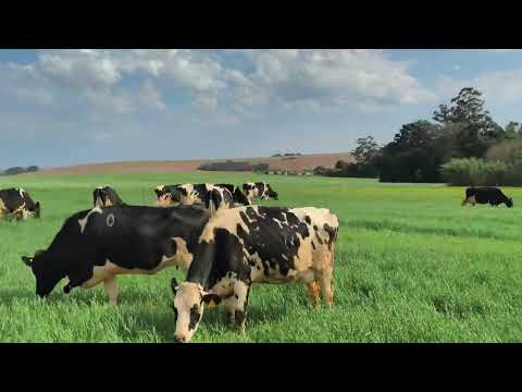 The mistake that almost destroyed my life and changed how I produce milk