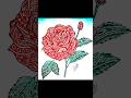 ROSE 🌹 Mandala Art /Mandala Mania/AVJ ARTS 🎨