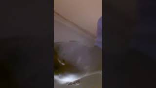 Necmi Vlog Ta Ve Oyunda Kanalına Abone Olun