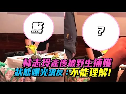 林志玲產後被野生捕獲 現況曝光網友:不能理解
