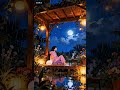 Calm Moonlit Garden 🌸🌙 Cozy Loop