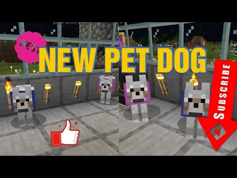 How to feed Dog | My New Pet Dog| MINECRAFT GAMEPLAY| PART - 13 - YouTube