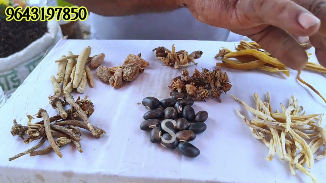 Khari Baoli Dry Fruit  Spice Market Delhi| Old Delhi  Masale, Jadi Buti, Achaar| ayurvedic jadi buti