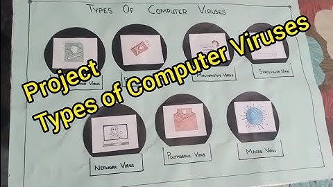 Project for kids , Types of Computer Viruses | Easy | The Educators #project #computer