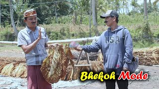 Download Lagu TEMBAKAU MURAH || KOMEDI MADURA MP3 Download Lagu TEMBAKAU MURAH || KOMEDI MADURA MP3