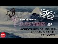 【SURF VIBES】#07 「CREATURES OF LEISURE」と「OCEAN & EARTH」はどっちが良い！？