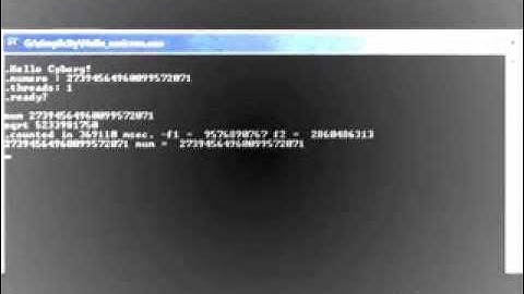 RSA numbers factorization (test #1)