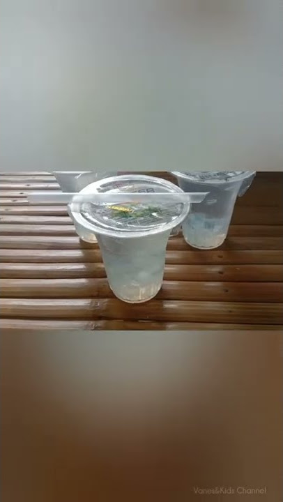 Refreshing Sweet Jelly Juice Drink (Cham Master Coco) Assorted Fruit Nata De Coco 🥤