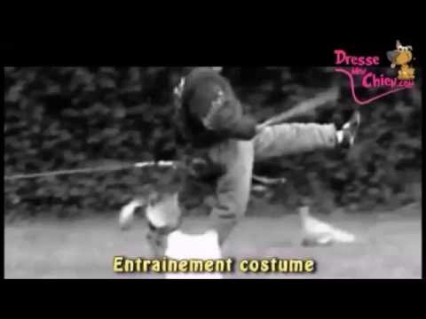 Comment apprendre à mon l'entrainement professionnel - YouTube