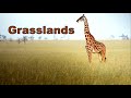 Grasslands. // #EnglishLearners