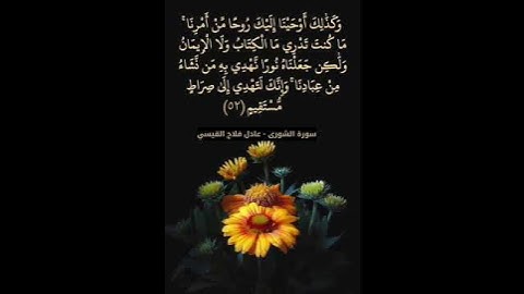 ماتيسر من سورة الشورى - عادل فلاح القيسي - #قران_كريم