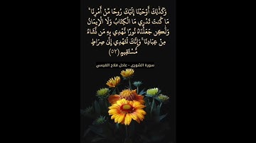 ماتيسر من سورة الشورى - عادل فلاح القيسي - #قران_كريم