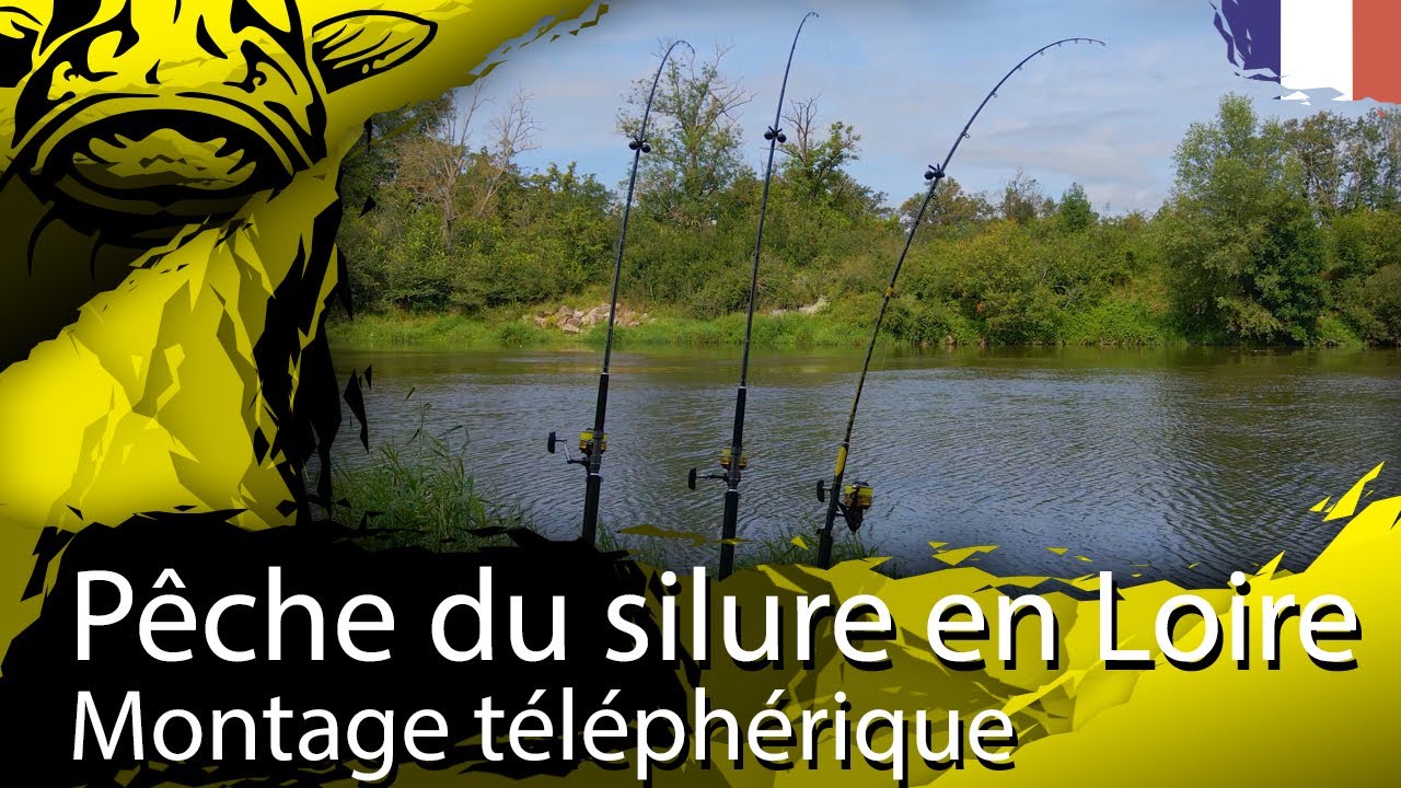 P che Du Silure En Loire Au Montage T l ph rique YouTube p-che-du-silure-en-loire-au-montage-t-l-ph-rique-youtube