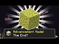 I used a SPONGE to beat Minecraft