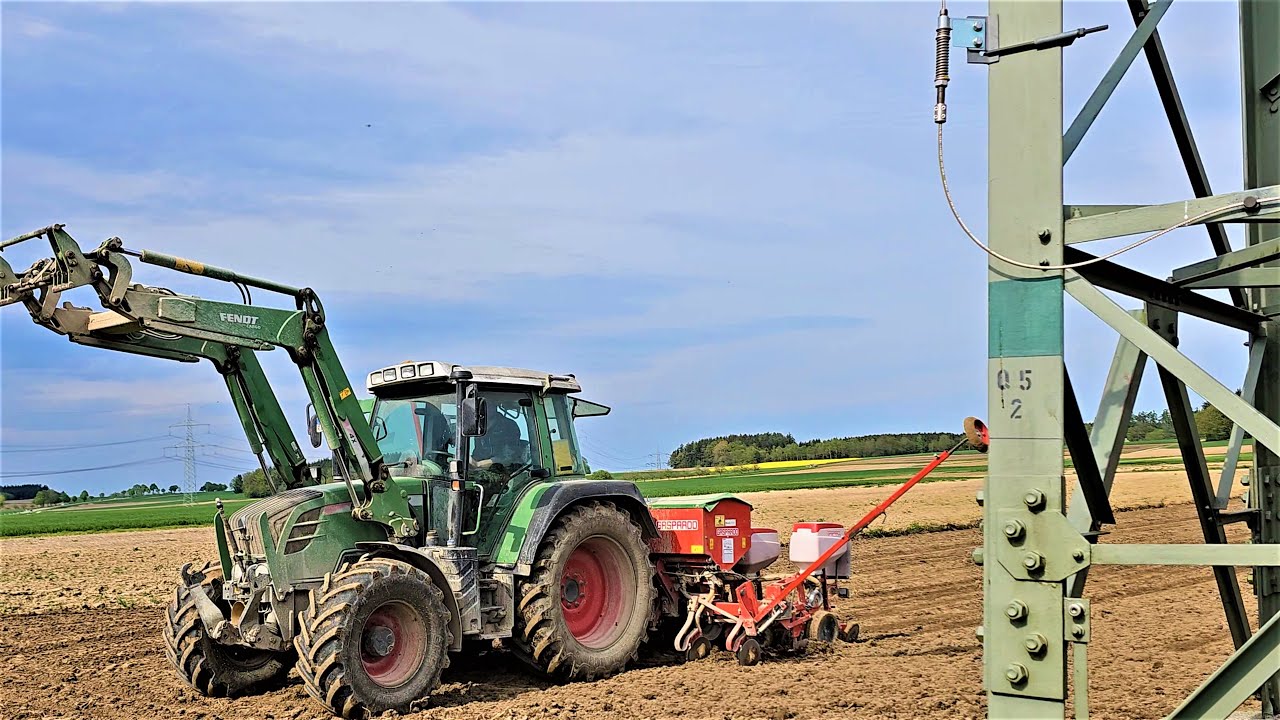 Fendt 313 Vario mit 6-Reihen GASPARDO MTE Maissämaschine in Aktion!