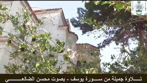 تلاوة جميلة من سورة يوسف بصوت الأخ الفاضل محسن الضالعي وفقه الله تعالى