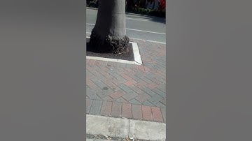 Marvel vs Capcom infinite stupid people s wish list