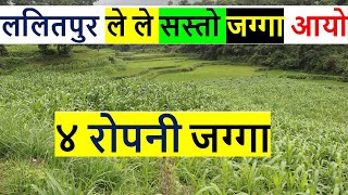 ललितपुर ले ले मा ४ रोपनी सस्तो जग्गा आयो land for sale in lele lalitpur nepal | real estate nepal