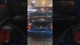 Terminator Cobra Mustang + modern Mustang line up