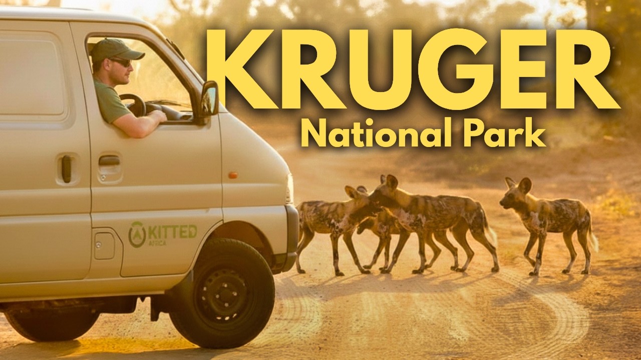 I Went to the Kruger National Park in a Fully-Kitted Panel Van!