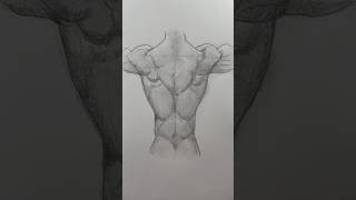 Draw back muscles 💪 Easy drawing lesson for how to draw back muscles. #drawinglesson #drawing