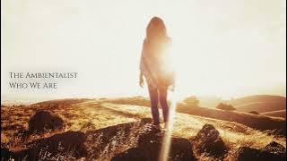 The Ambientalist  1 Hour MIX! Chillstep 2023