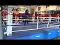 STEELEBOXER GYM ONLINE BOXING/KICKBOXING TRAINING PROGRAM www.steeleboxer.com