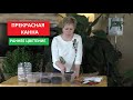 СЕЗОН 2020: ПРЕКРАСНАЯ КАННА - добиваемся раннего цветения!