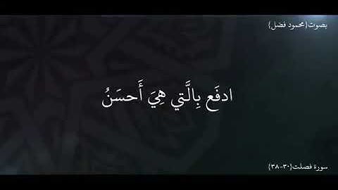 ولاتستوى الحسنة ولا السيئة ادفع بالتى هى أحسن  سورة (فصلت)