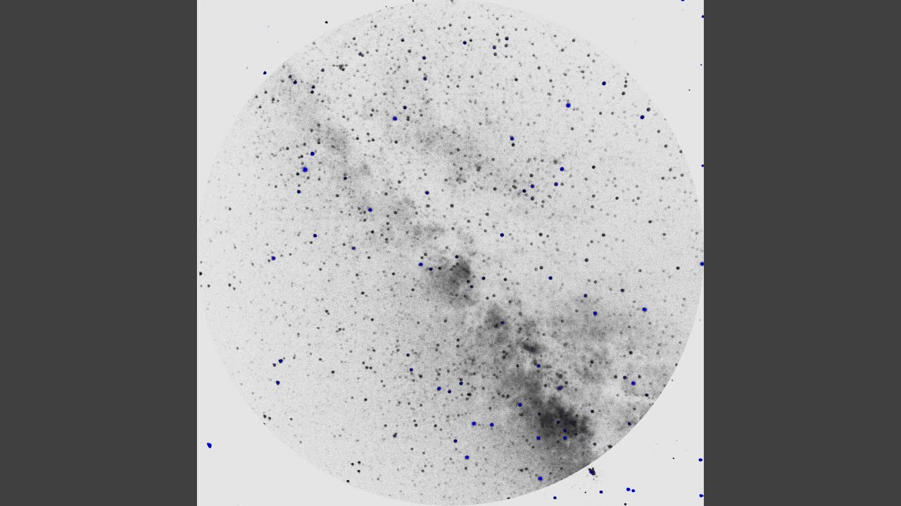 Finding That Blue Star (feat. Liu Tao)