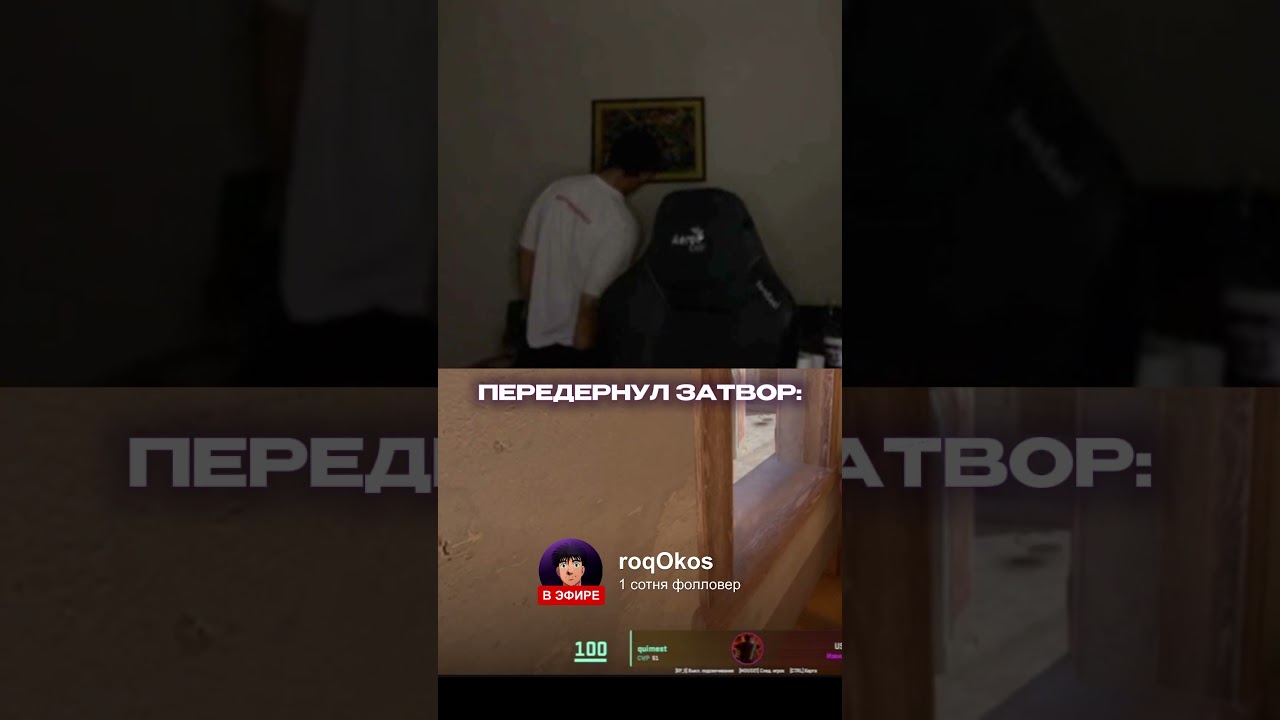 Вкус детства  | twitch — roqOkos  