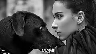 Hamidshax - The Best Mixes Miami Mix 2024