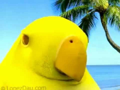 Absurd fat chicken - YouTube.