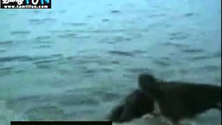 23 5 2012 Video 6