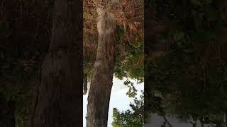 FALLING PREY TO THE NEGATIVE EXPLOITS presented  by those of false intent, lowers your vibration.