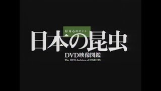 『日本の昆虫』トレーラー・本編 ver.