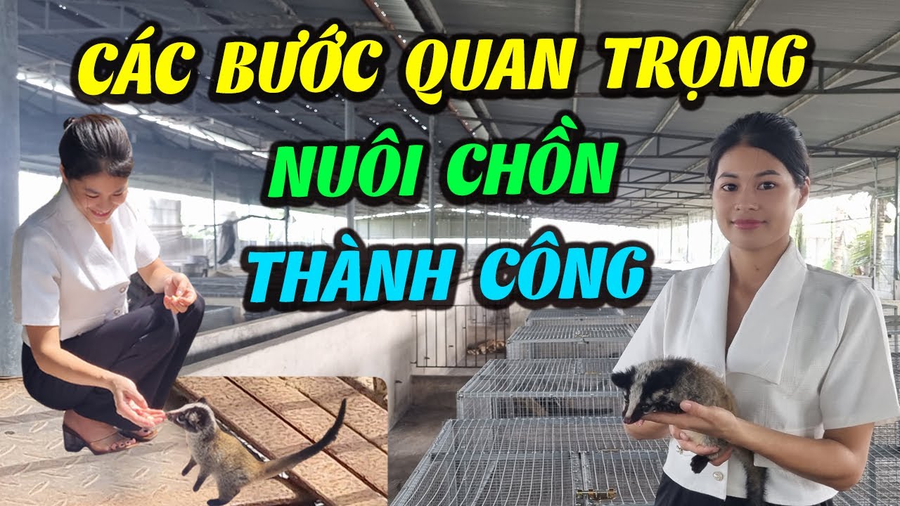 Các Bước Chăn Nuôi Chồn Mốc Quan Trọng Dành Cho Bà Con Còn Ít Kinh ...
