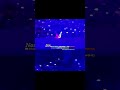 the butterfly completed it's journey ๐ฆ || #shorts #bts #Ot7 #viral #fyp #edits #Mafiaparadox #trend