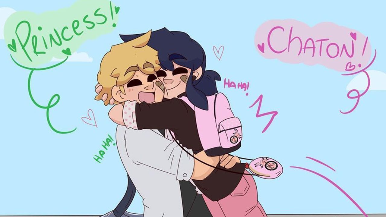 The Reveal Part 6 | Miraculous Ladybug Comic Dub - YouTube